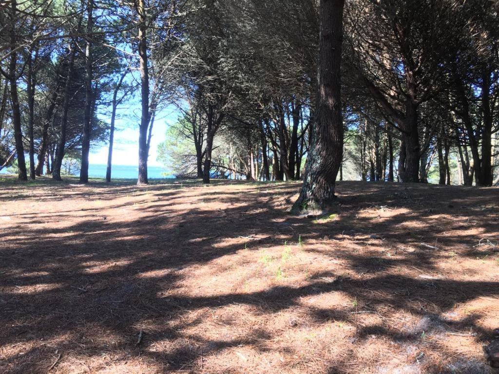 Apartment Casa Campelo - Apto Playa De Rodeira Cangas, Garaje Y Wifi Gratis *